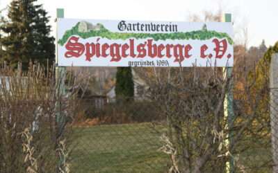 Kleingarten pachten in Halberstadt